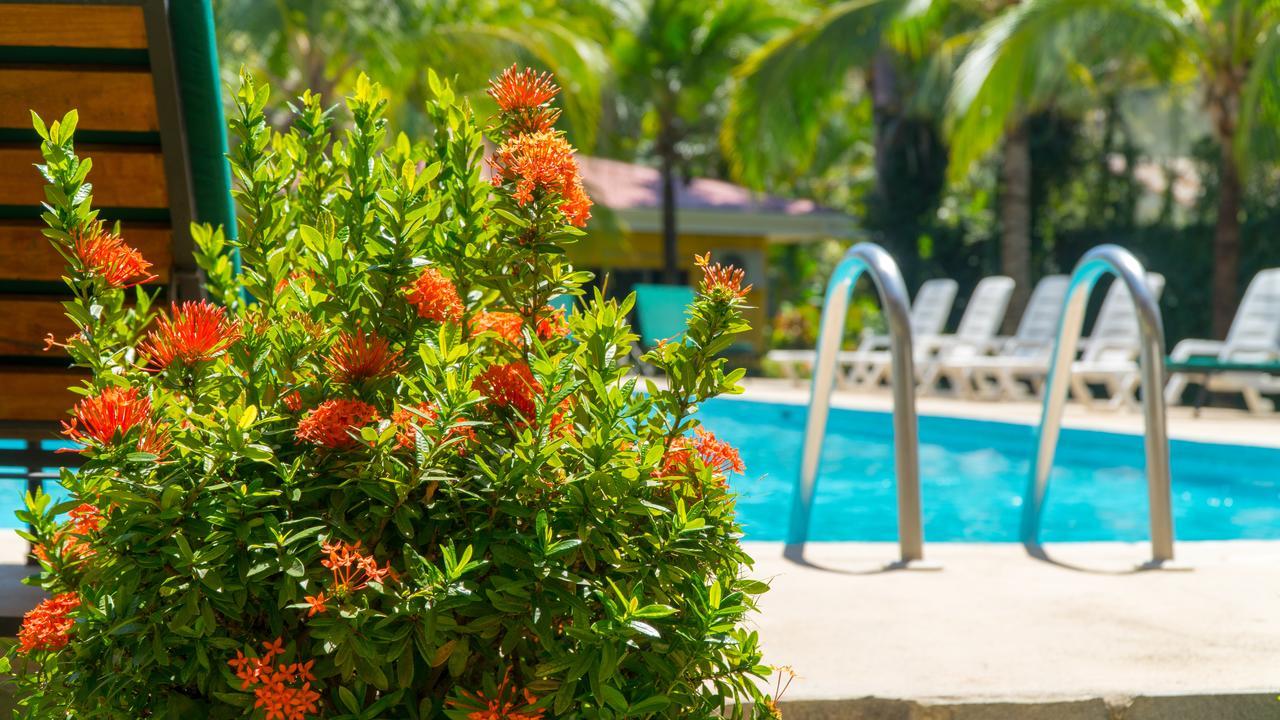 Hotel Isolina Beach Potrero  Extérieur photo